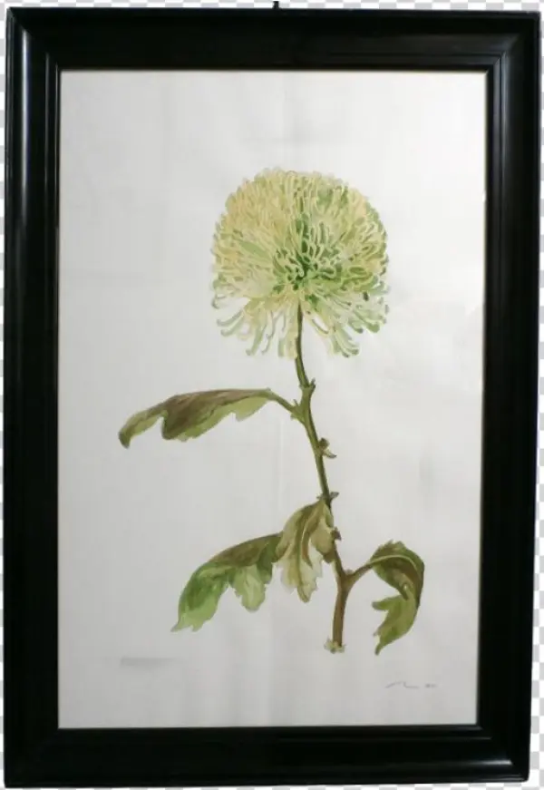 Framed Watercolour, 34 X 24 Inches, £195