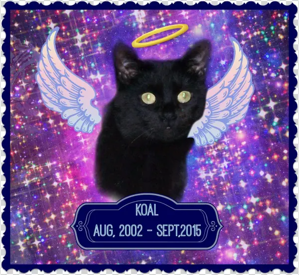 I Didn't Know Koal Very Well, But His Passing Makes - Attaboy Clarence Square Car Magnet 3" X 3"