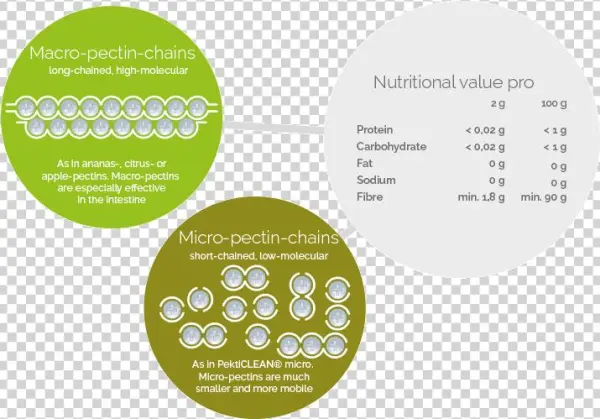 Ingredients - Circle