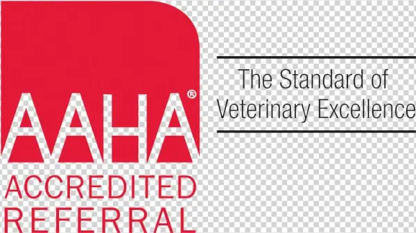 Next - Vet American Animal Hospital Association