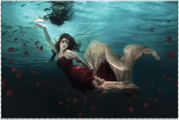 Ocean Of Roses - Latitude Run 'water Roses' Photographic Print On Canvas,