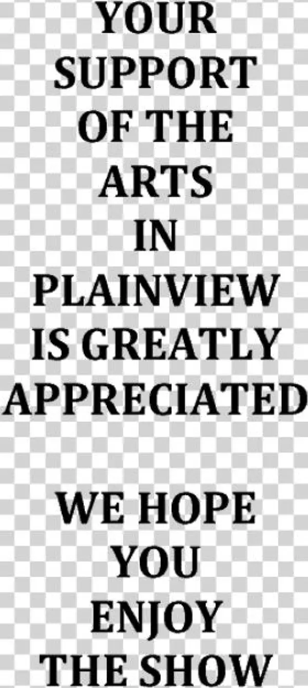 Plainview High School - Future Diary By Frances P Robinson 9781503027084 (paperback)