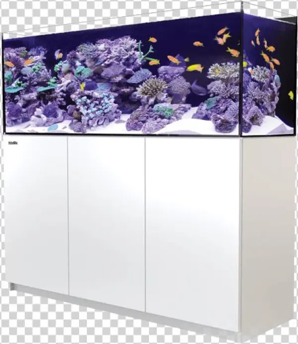 Red Sea Reefer - Red Sea Reefer 350