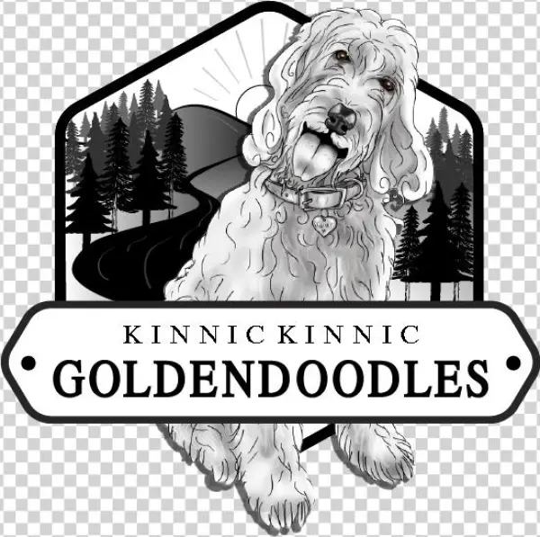 River Falls Wi - Illustration