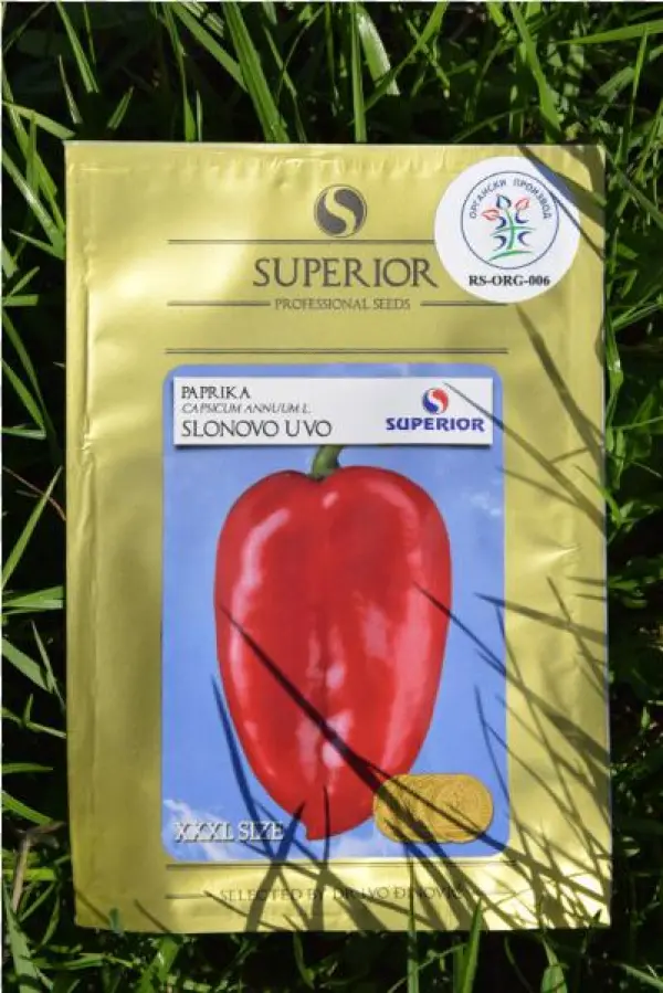 Superior Slonovo Uvo