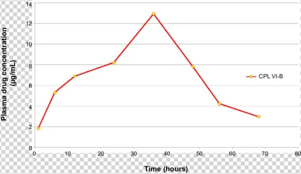 Time Course Of Changes In The Drug Concentrations After - Diagram