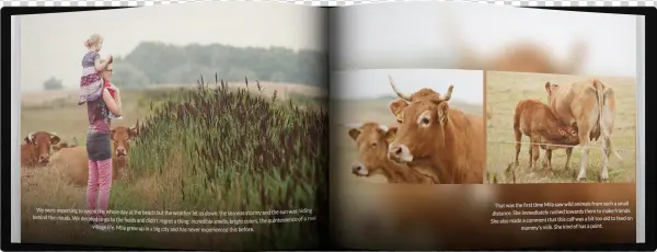 Cover Comparison Book