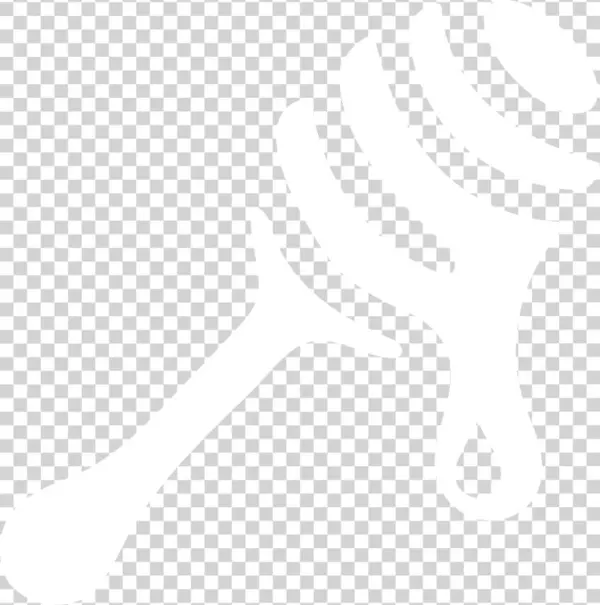 Fiesta Sweet And Tangy Seasoning