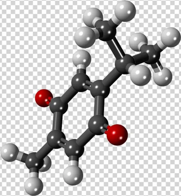 File - Thymoquinone - 3d - Ball And Stick Model