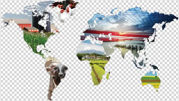 Investing In Global Diversity