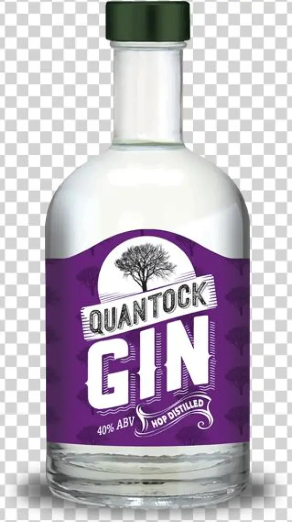 Quantock Gin