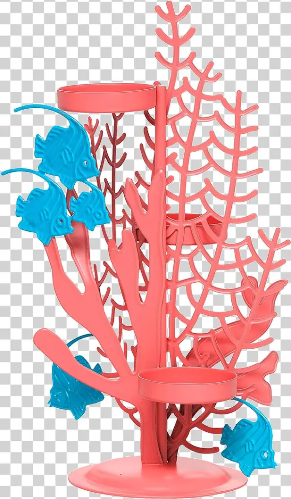 Sea Coral Png