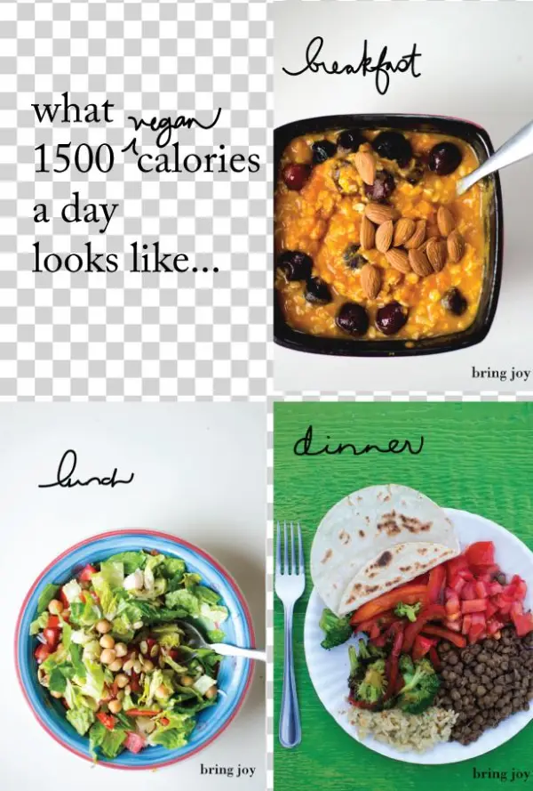 What Does 1500 Calories Look Like // Bring-joy