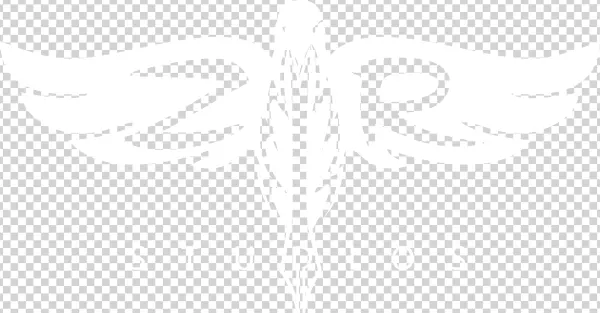 Zr Studios-justice, Peace By Peace