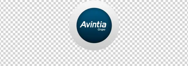 Grupo Avintia
