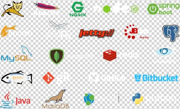 Indian Cloud Hosting