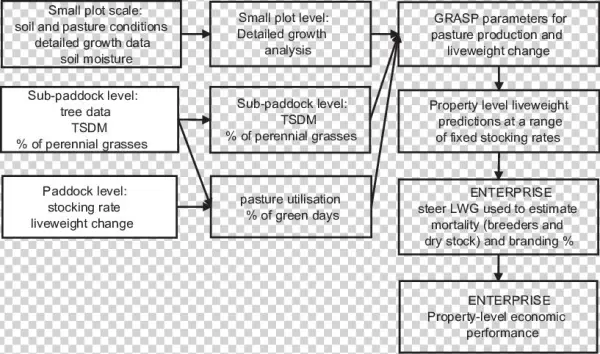 Key Steps In Evaluating The Effect Of Stocking Rate