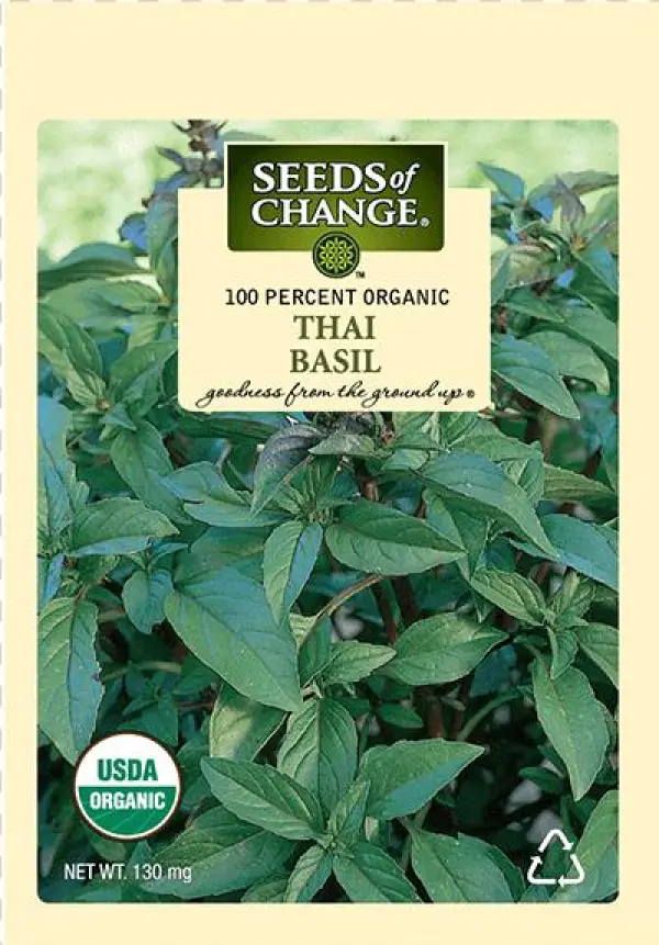 Organic Thai Basil Seeds