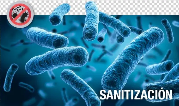 Porque Es Tu Casa Y No La De Ellos