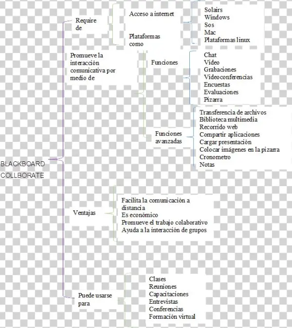 Videoconferencia Blackboard