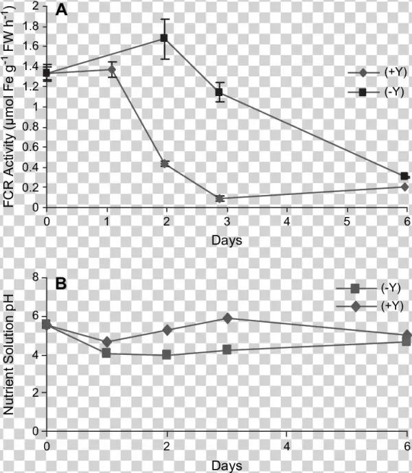 Effect Of Addition Of 10 Mm Ycl 3 To The Growth Medium