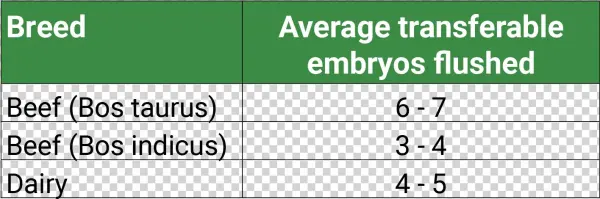 When The Embryos Are Flushed They Are Graded For Quality,