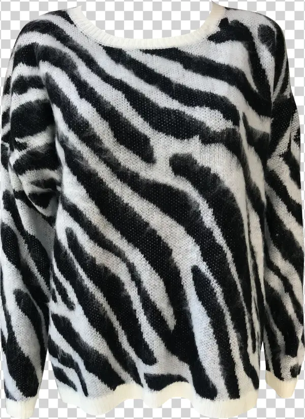 Zebra Jumper