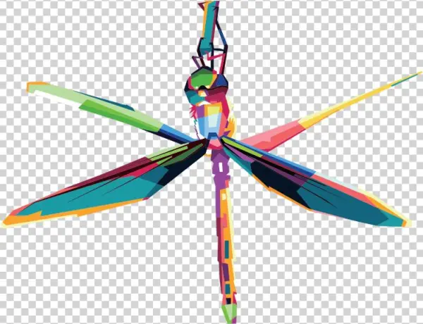 Geometric Dragonfly - Dragonfly
