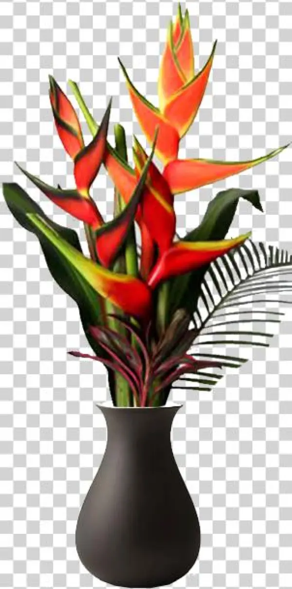 Medium - Bromelia