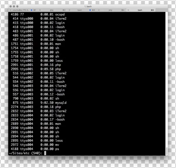 Ps - Hung Than Mall Taman Palem
