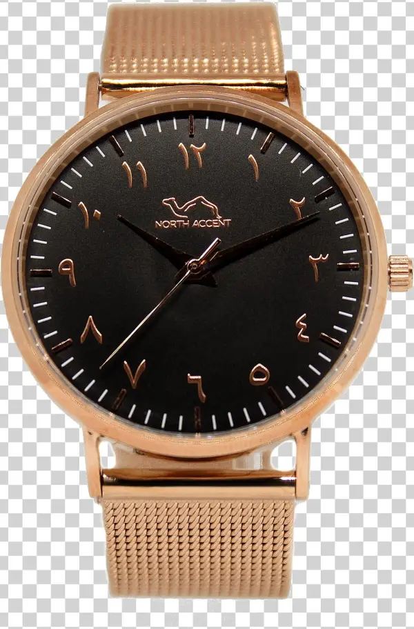 Rose Gold Stainless Steel - Orologio Daniel Wellington Donne