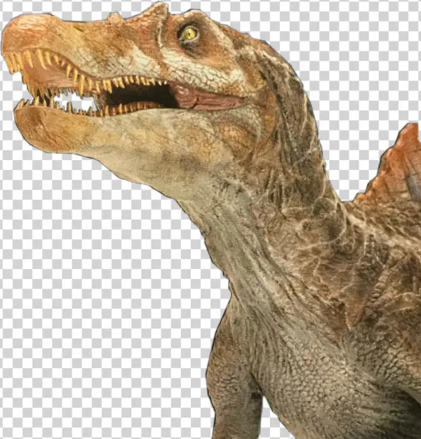 Spinosaurus Sticker - Velociraptor