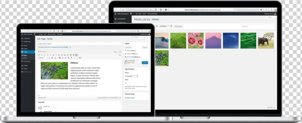 Webdesign Easy To Work With - Operating System