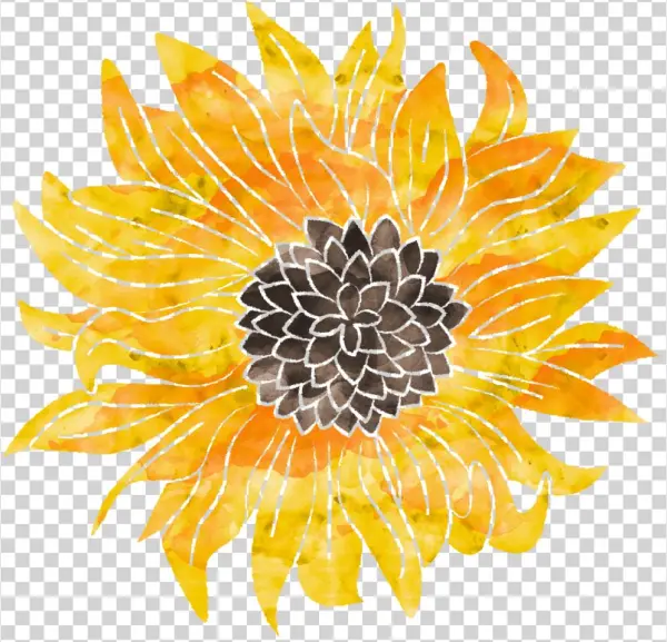 Welcome To Wedig Wellness - Sunflower