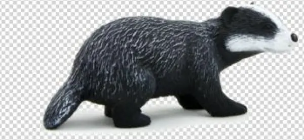 Badger Png, Download Png Image With Transparent Background, - Badger