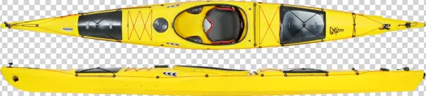 Grizzly Gelb Wechselbild - Prijon