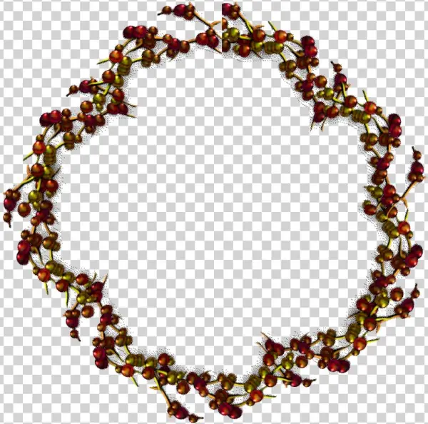 Round Berry Frame - Circle