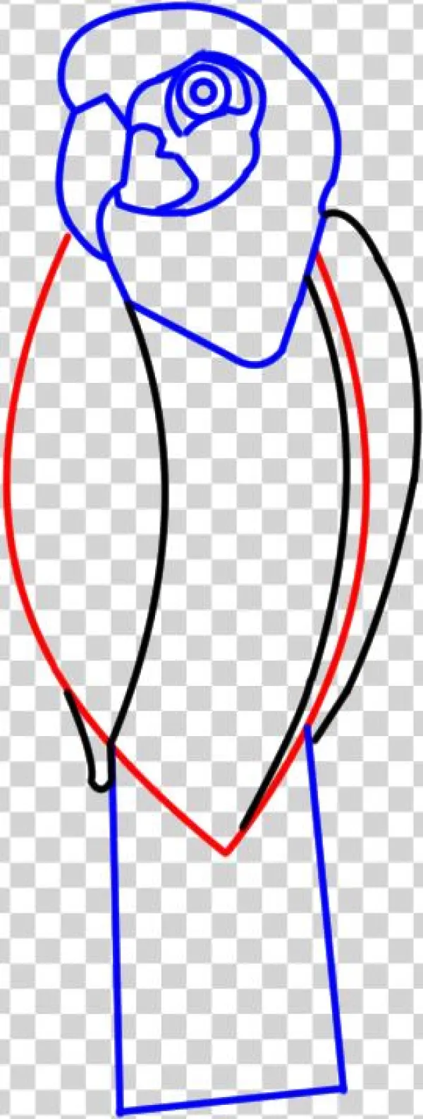 Step5 Parrot Cartoon Body Lines