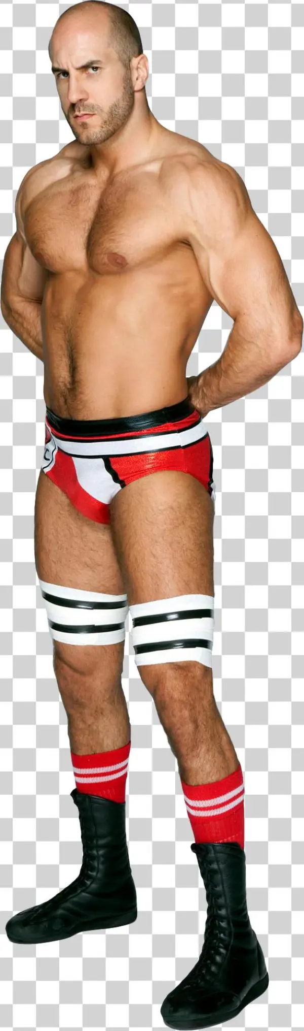 Stephanie Mcmahon 2017 Wrestlemania - Underpants