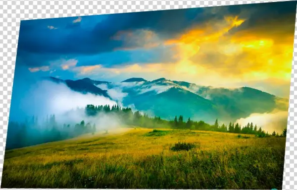 Video - Computer Monitor