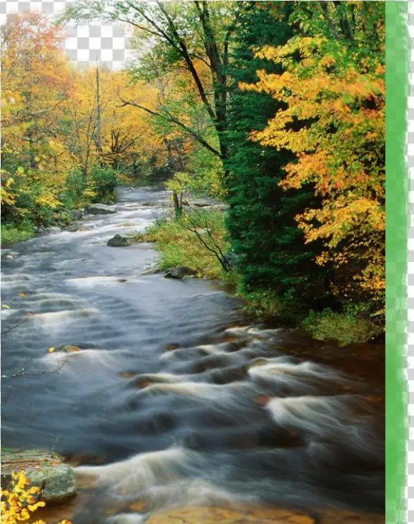 Our Water Is Pristine And Bottled For Drinking - Autumn