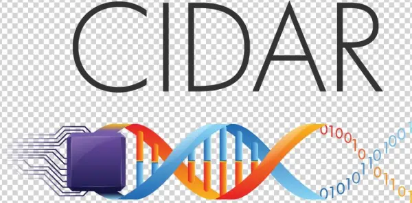 Cidar Logo Creative Commons License