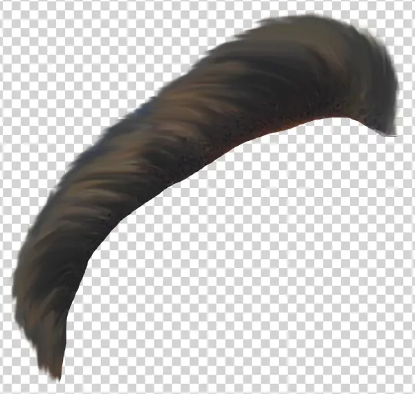 Download Here - Turkey