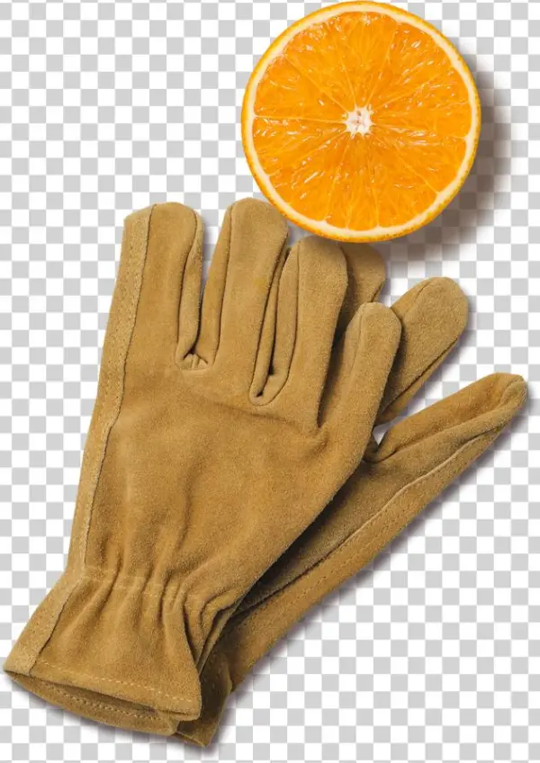 Florida's Natural Orange Juice The Best Orange Juice - Orange