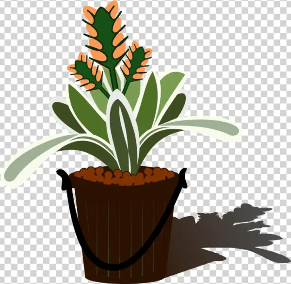 Flowering Aechmea Flowerpot Free - Bromelia Png Clipart