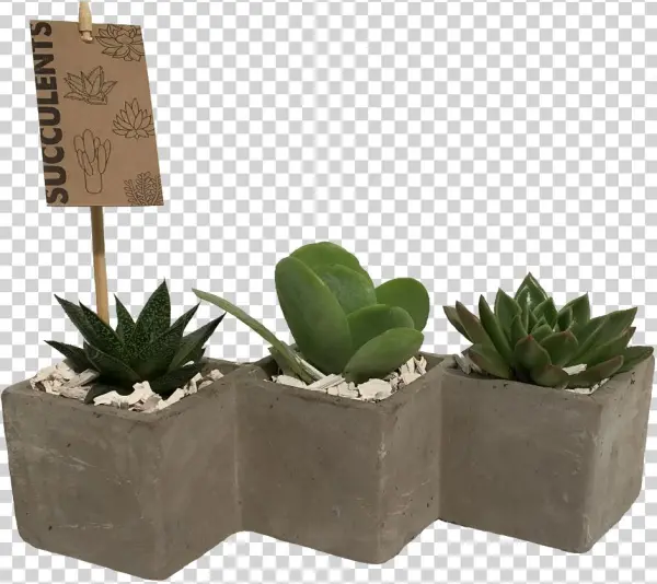 More Views - Flowerpot