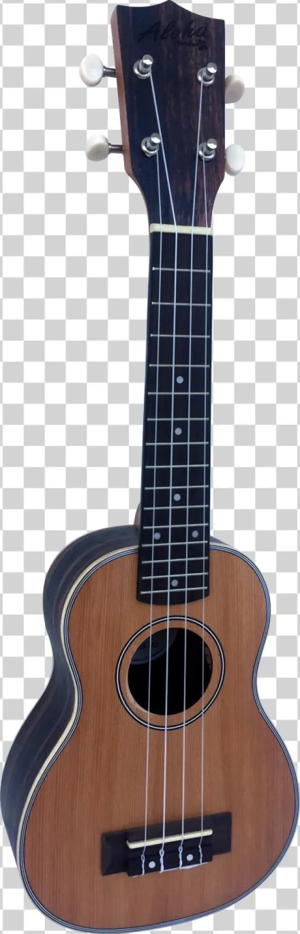 Nueva Línea - Acoustic Guitar