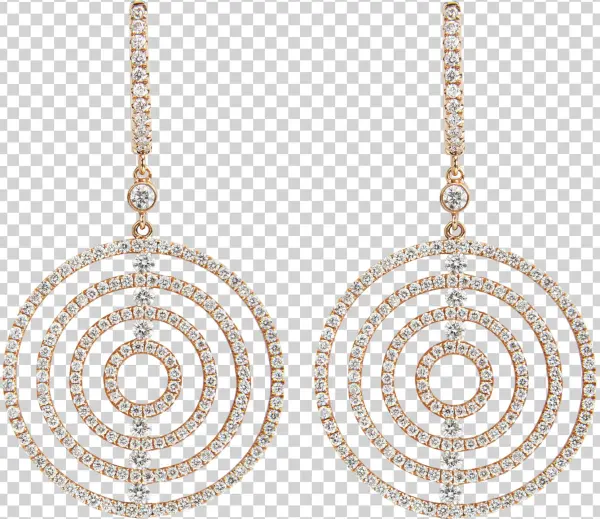 Shopping Bag - Earrings