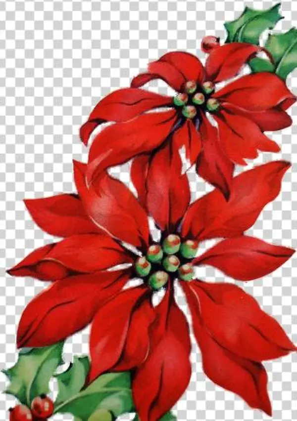 4031212678 E275ee13d1 353×471 Pixels - Drawing