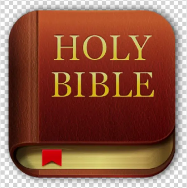 Bible - Wood
